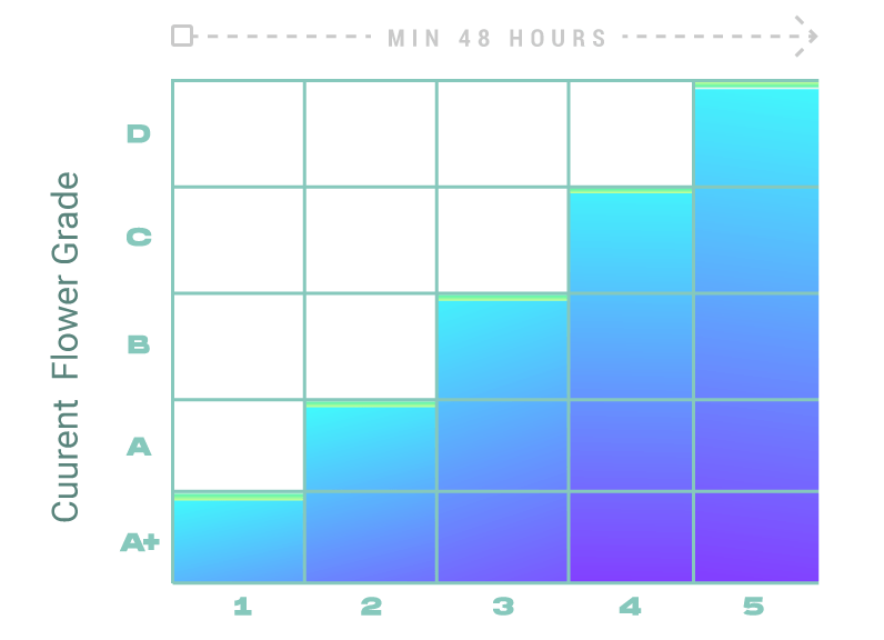 Chart showing Neu Bags Needed for your current flower