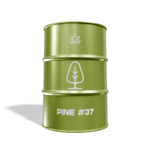 Pine #37 Terpenes Oil